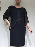 Women's Chiffon Shawl Sleeve Shiny Dress