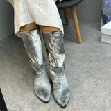 Women's Silver Suede Long Boots